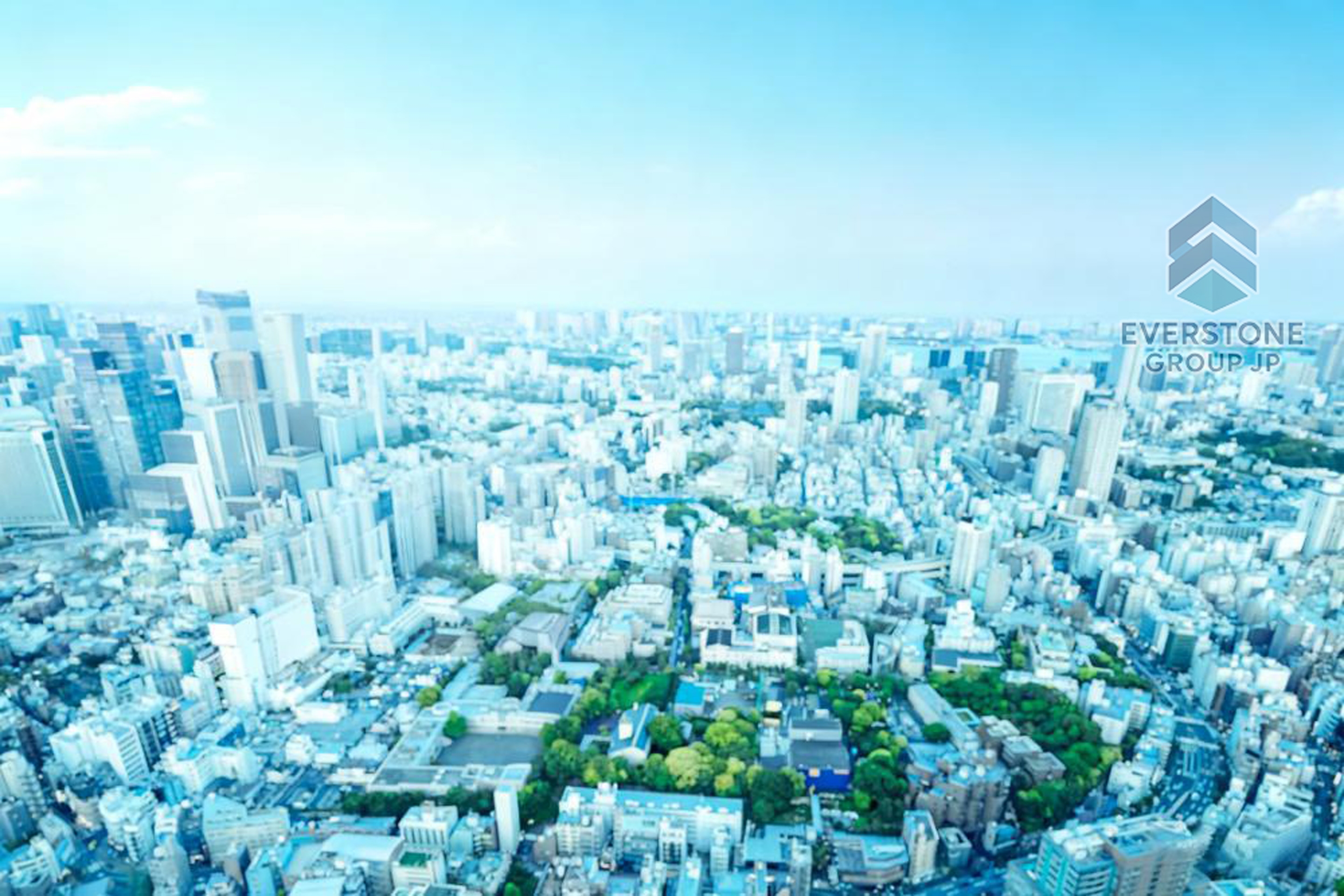 現在放映中のCM 土地の価値を一緒に大きく。Everstone Group